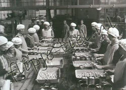 Vruchten schillen, sorteren en inblikken in de fabriek