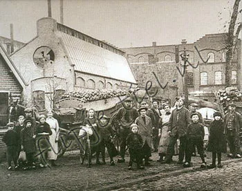 Afdelingen